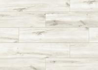 Ламинат Classen Harmony Forte Дуб Аврора