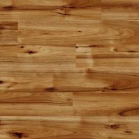 Ламинат Kaindl Easy Touch Premium Plank HG Р80070 Hickory Bravo Ламинат Kaindl Easy Touch Premium Plank HG Р80070 Hickory Bravo